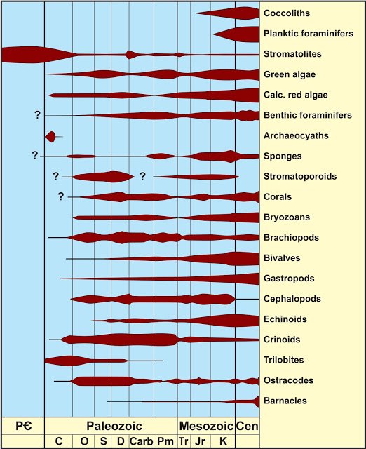 Evolution of Skeletal Grains Throughout Phanerozoic (Learning Geology Blogspot;Modified from Morse and Mackenzie, 1990