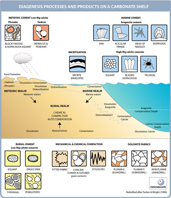 Diagenesis-introduction_new.jpg