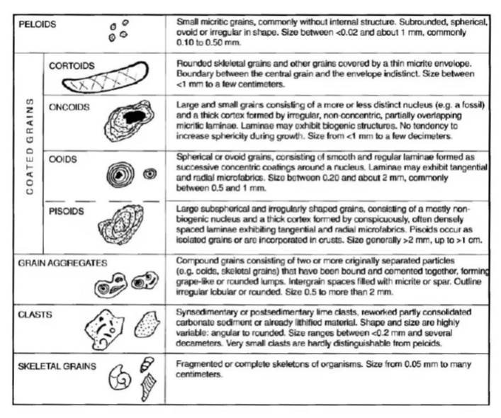 Non-Skeletal Grains (Flugel, 2004)