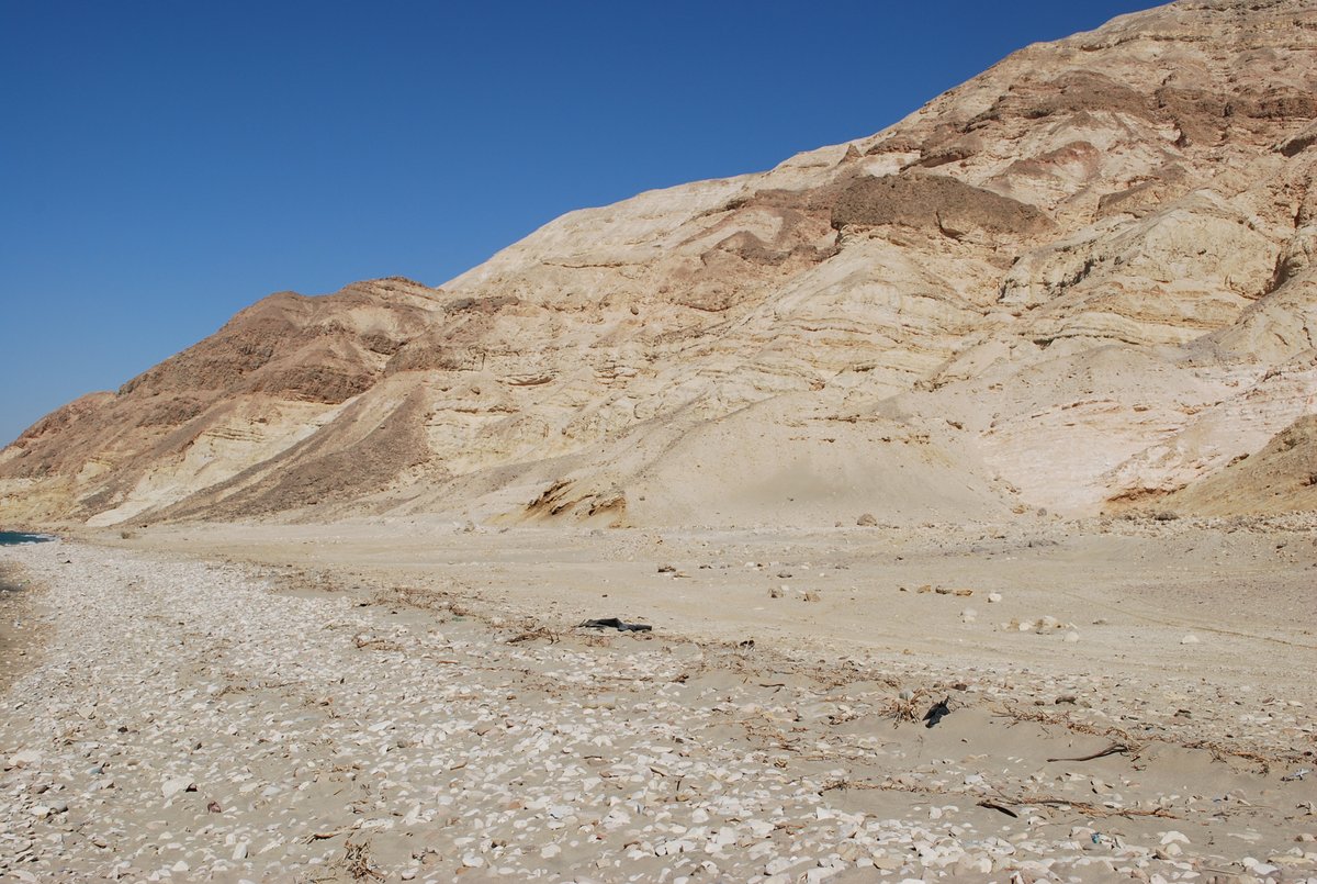 Dolomite bodies within Eocene (Ypresian) limestone adjacent to the Hammam Fauran Fault, Egypt