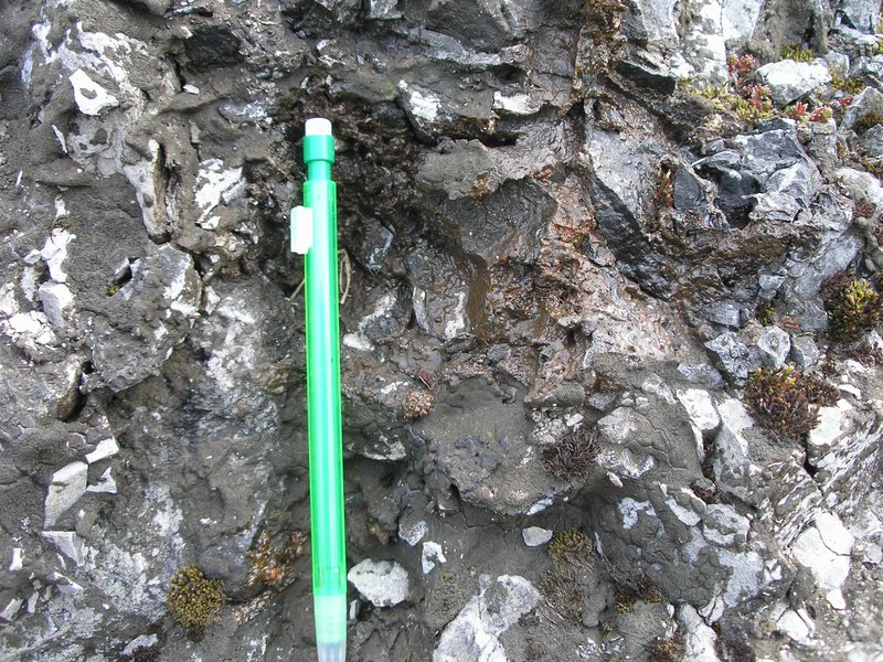Bitumen within a fractured limestone