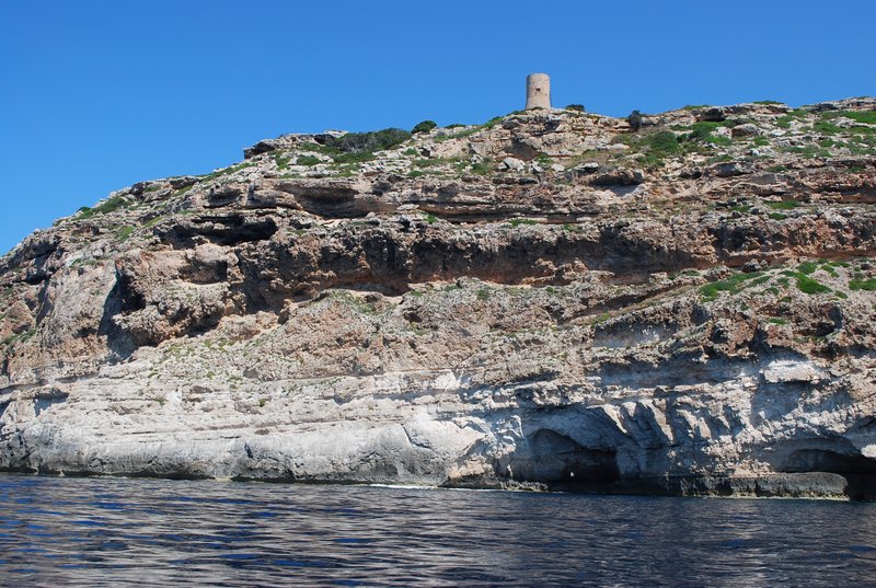 Miocene reef Cap Blanc Mallorca