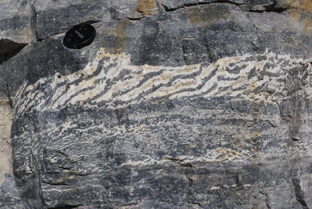 Zebra dolomite, Eldon Formation, Cambrian, Canada